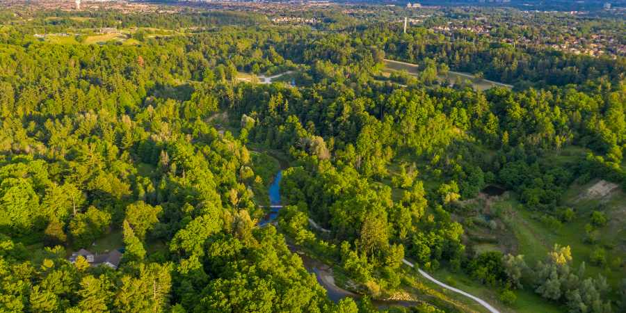 homes for sale in Islington Woods Ontario