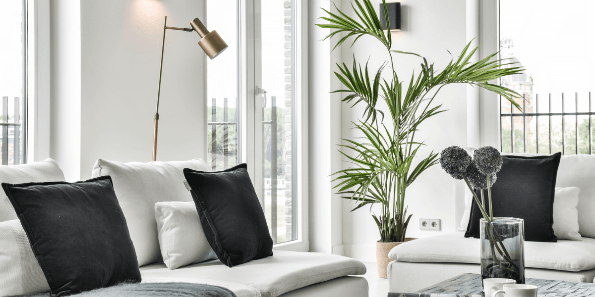 Staged interior, paint matters